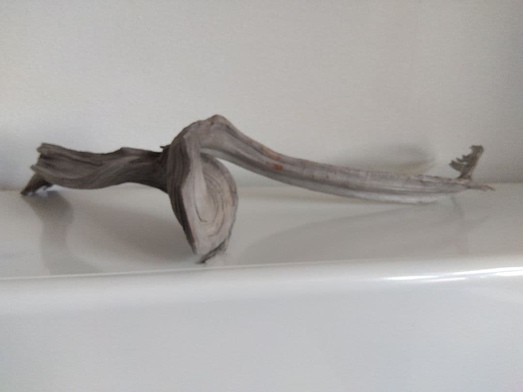 ★大幅値下げしました★真柏の枯れ木(カレボク) 盆栽の枯れ木④　神