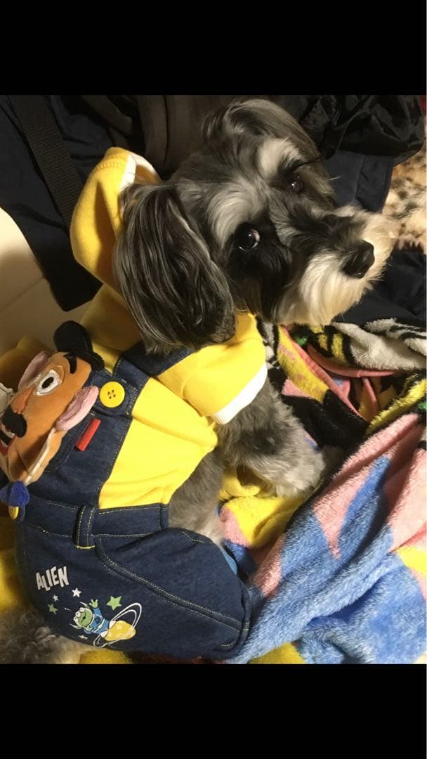 miniさま  確認用　その③