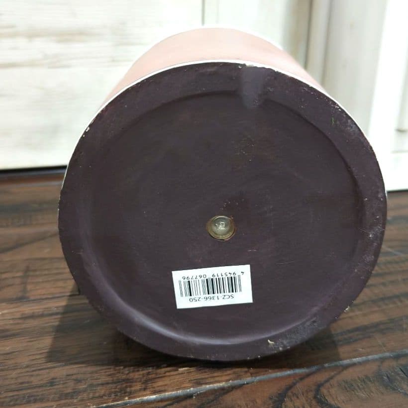 寄付 対象 セトクラフト　黒　猫　キャット　マッシュルーム 鉢植　ブラウン　陶器