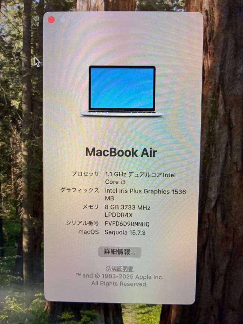 MacBook本体 Apple MacBook Air (Intel Core i3)