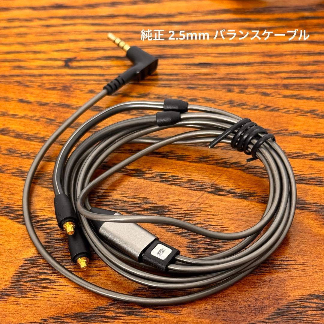 ゼンハイザー IE900 フラッグシップイヤホン高音質IEM