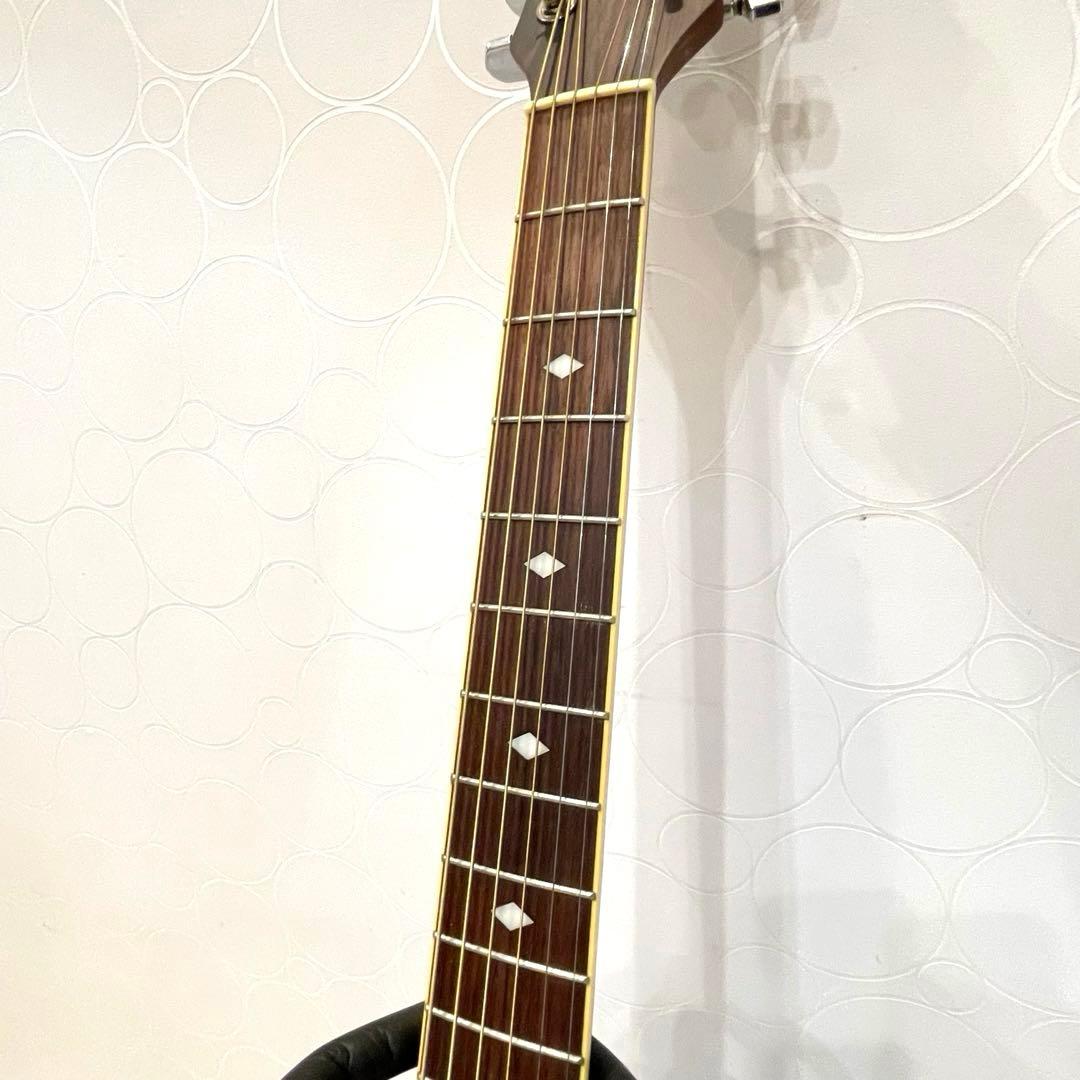 【希少】Pro Martin エレアコ EA350 カッタウェイ サンバースト