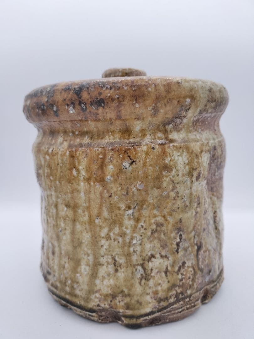 c507 信楽水指 高橋楽斉 木箱 茶道具 古物