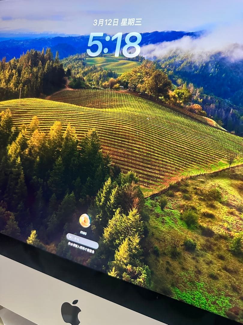 Apple iMac 2019年モデルcorf i7 32gb 500GB