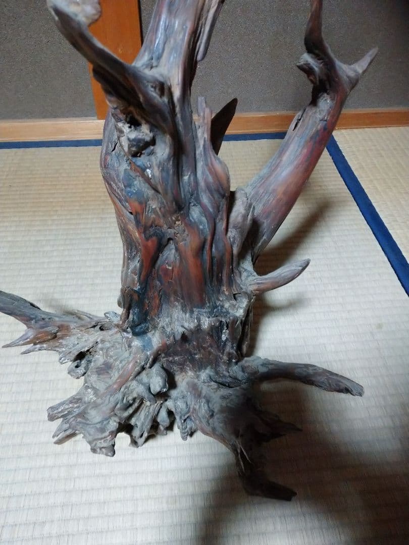 置物  木の根  かぶた