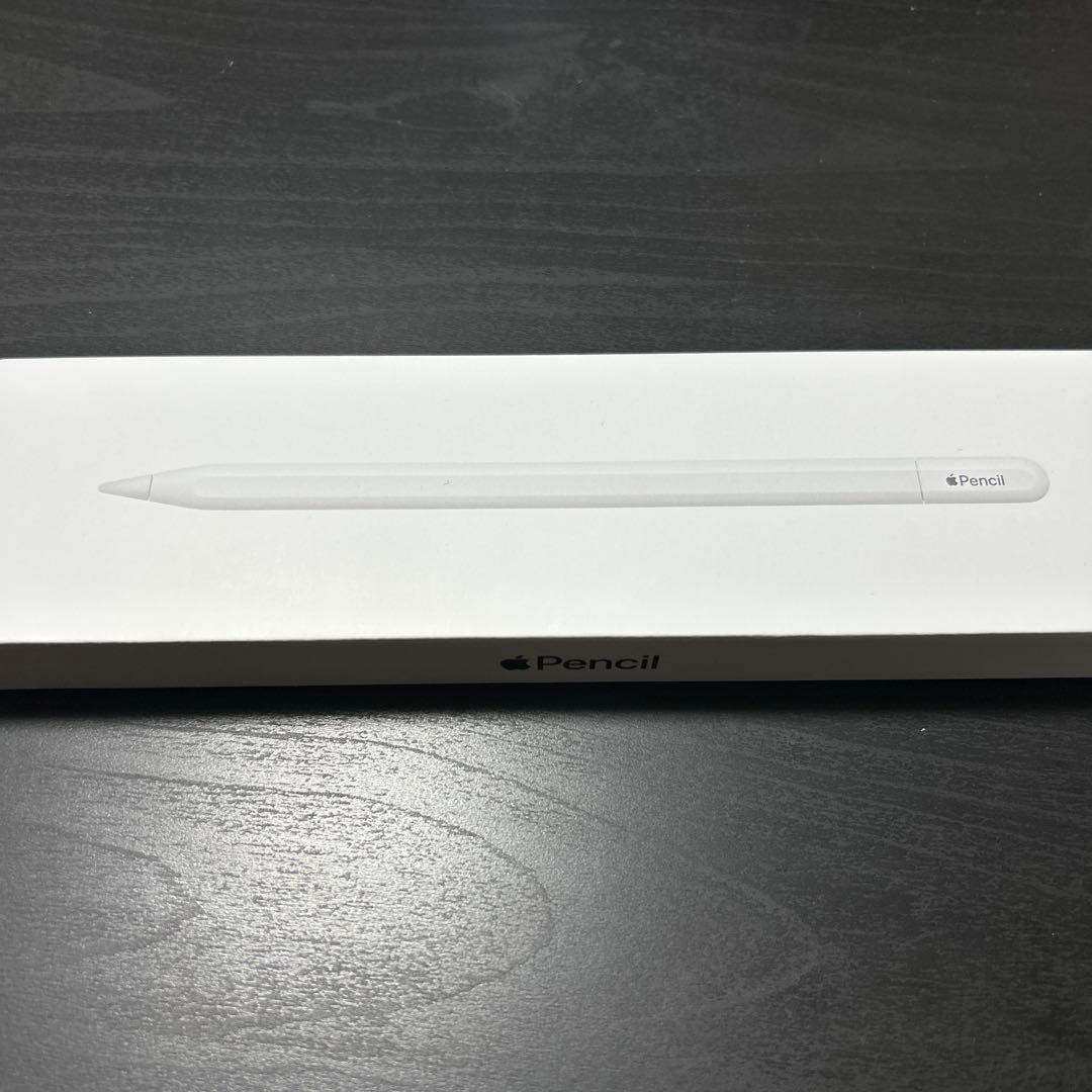 Apple Pencil (USB-C) ホワイト 元箱付き