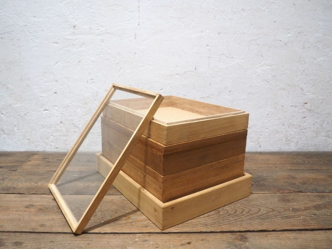 1390 ②蓋付 レトロな標本ケース(小3、大1)4個セット ガラスケース　展示