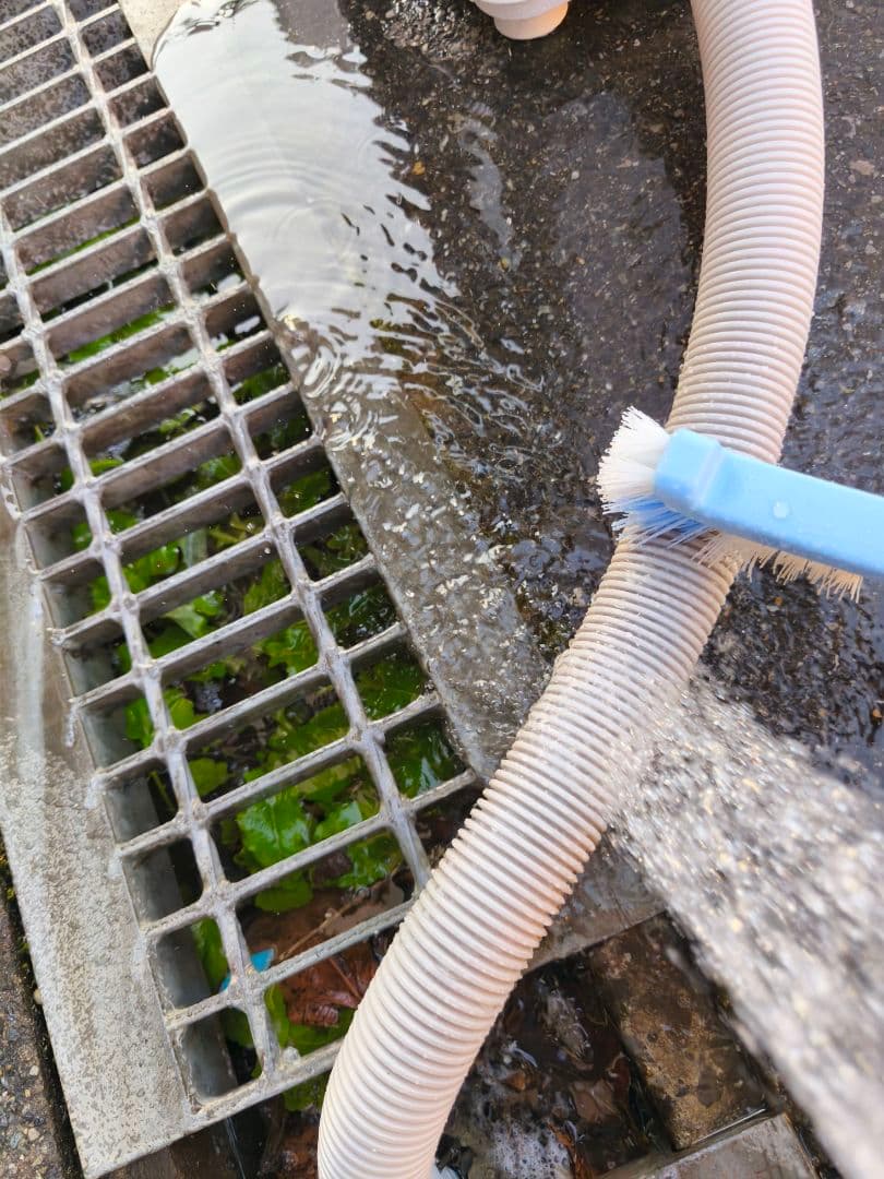 関東限 21年製 条件で配送無料 分解清掃済 縦型洗濯機 全自動洗濯機 洗濯機