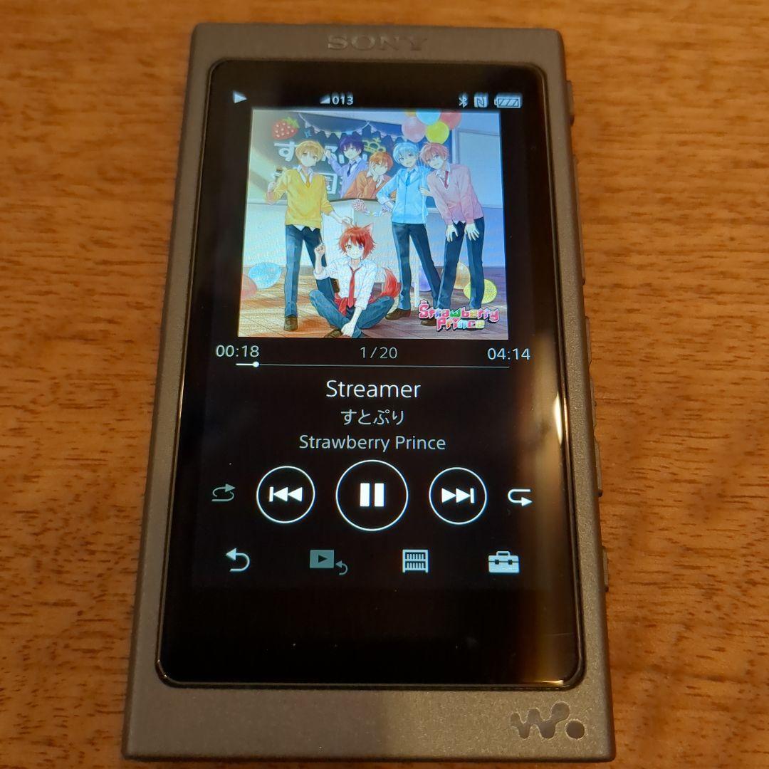 SONY NW-A45HN 16GB デジタルオーディオプレーヤー
