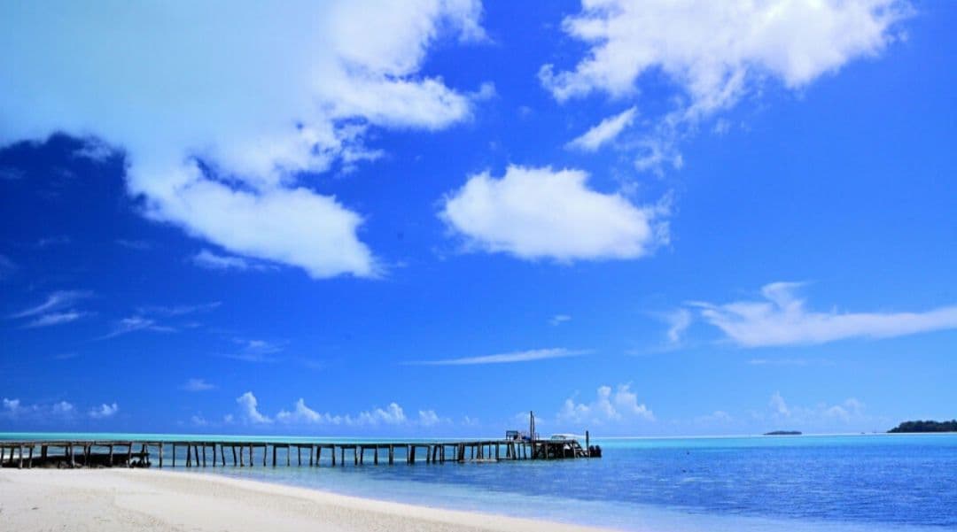 NIKON　D70　広角から望遠まで　初心者⚡️一眼レフ⚡️望遠⚡️ニコン