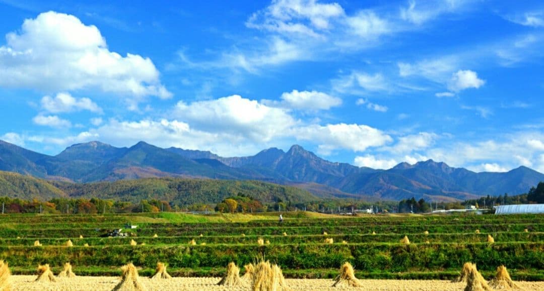 NIKON　D70　広角から望遠まで　初心者⚡️一眼レフ⚡️望遠⚡️ニコン