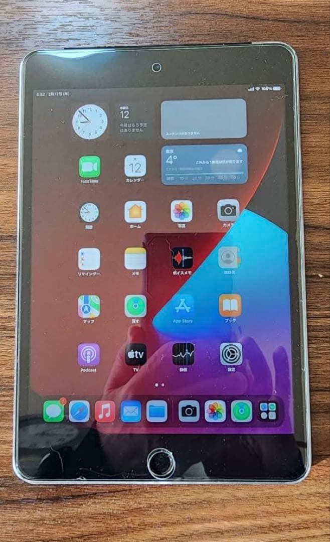 iPad mini (第4世代) スペースグレー 64GB
