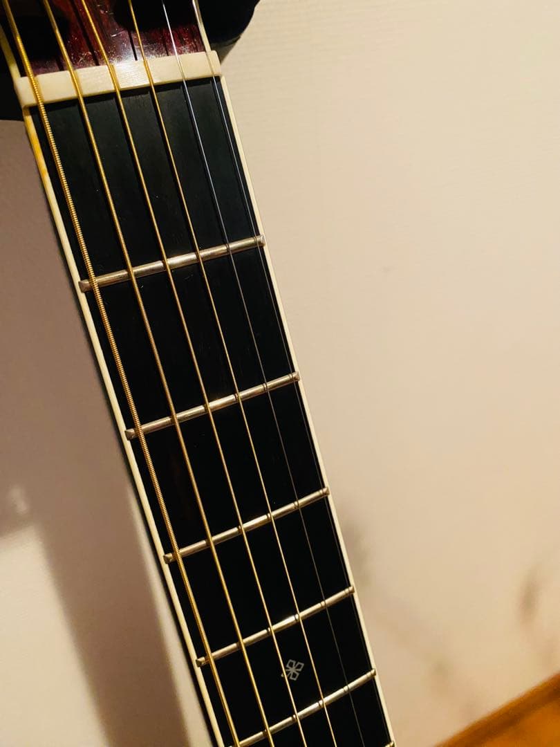 Takamine DMP50S MR 値下げしました！