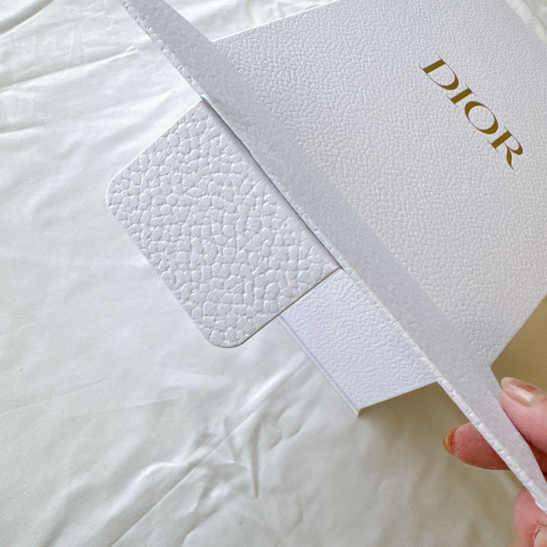 専用　DIOR ディオール　ウォーターボトル　水筒　ステンレスボトル　タンブラー