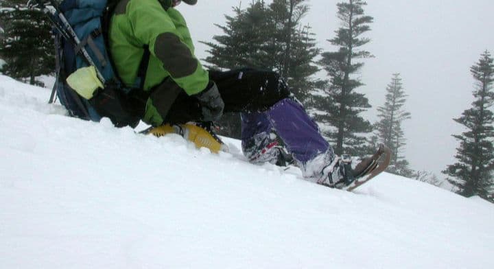 【入手困難品】ポッカール　スノー　スキー