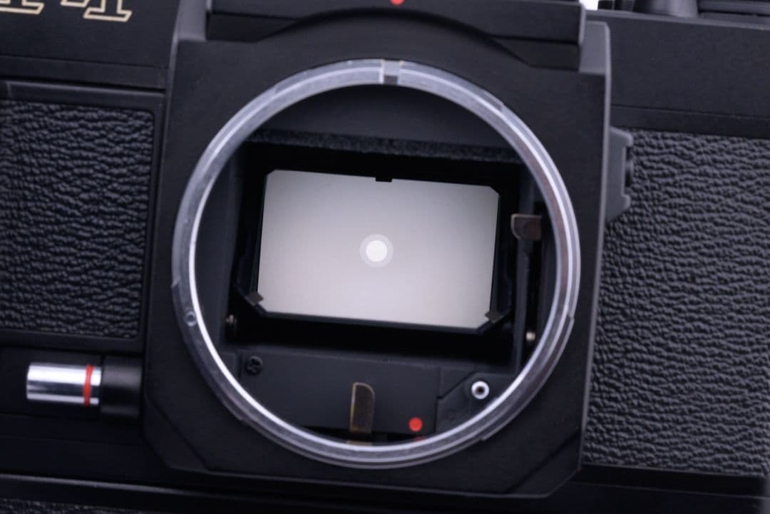 Canon New F-1 AEファインダー + NewFD 50mm F1.4