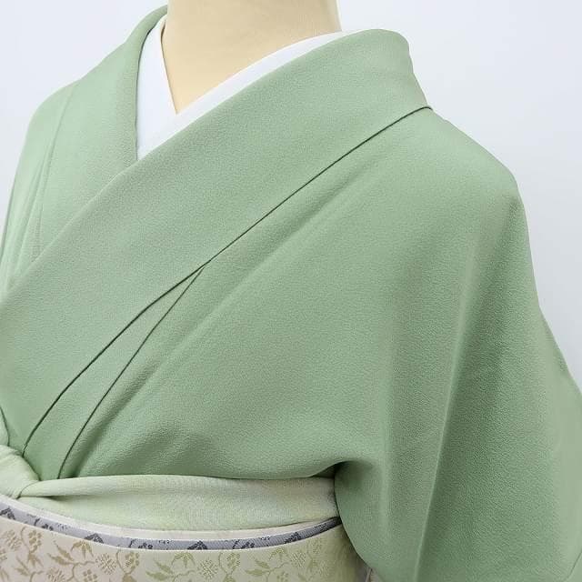 memeriri✾美品 染の粋峰落款 正絹 トールサイズ 色無地 R-76