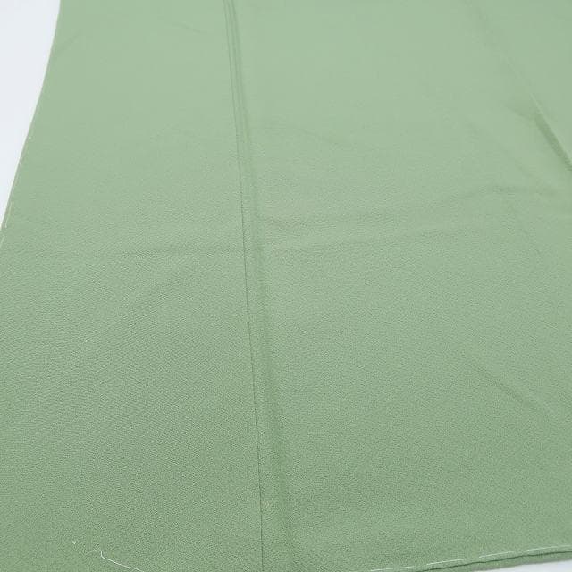 memeriri✾美品 染の粋峰落款 正絹 トールサイズ 色無地 R-76