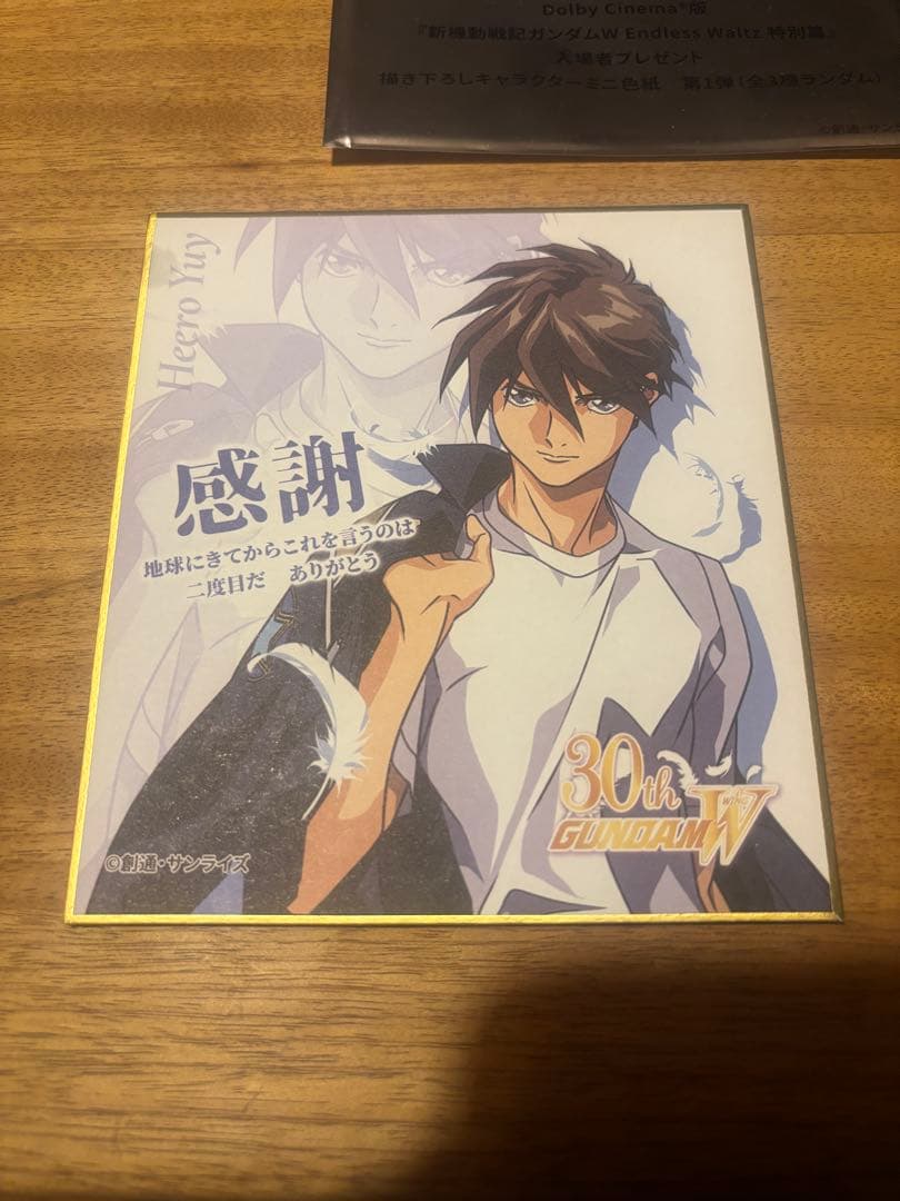 秋*ん様 ガンダムW エンドレスワルツ　２枚セット　ヒイロ、デュオ
