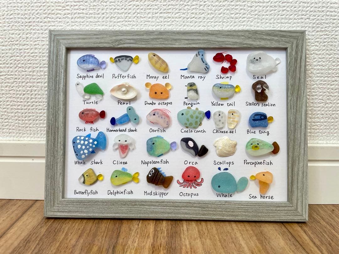 シーグラスアート☆No.391 図鑑　海の生き物　ギフト　プレゼント インテリア