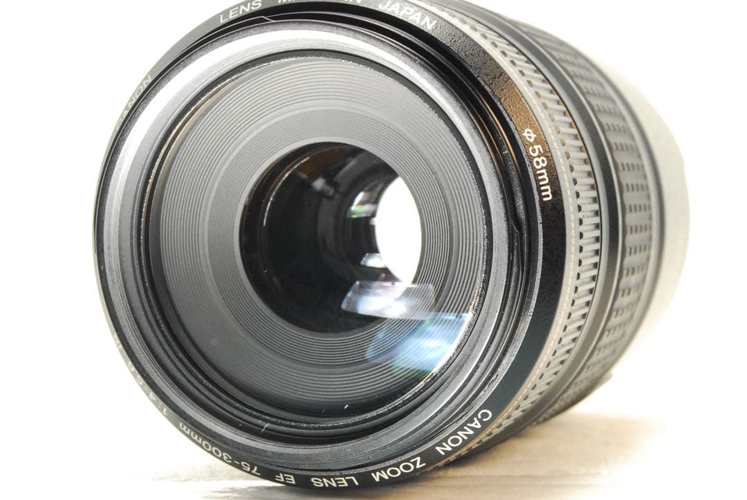 りゅっぴー様Canon EF75-300mm IS USM❤️手ぶれ補正 キヤノン