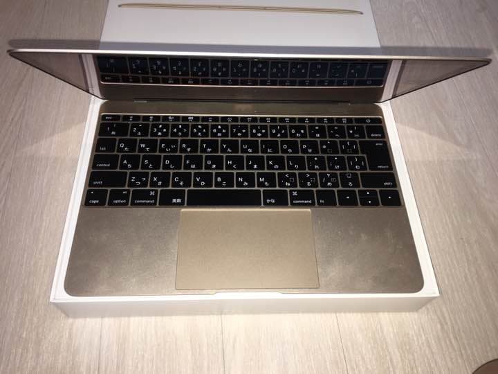Apple MacBook 12インチ 256GB ゴールド MK4M2J/A