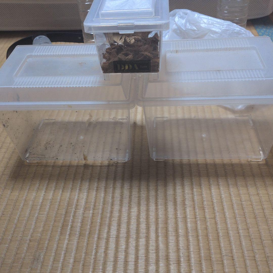 飼育ケース