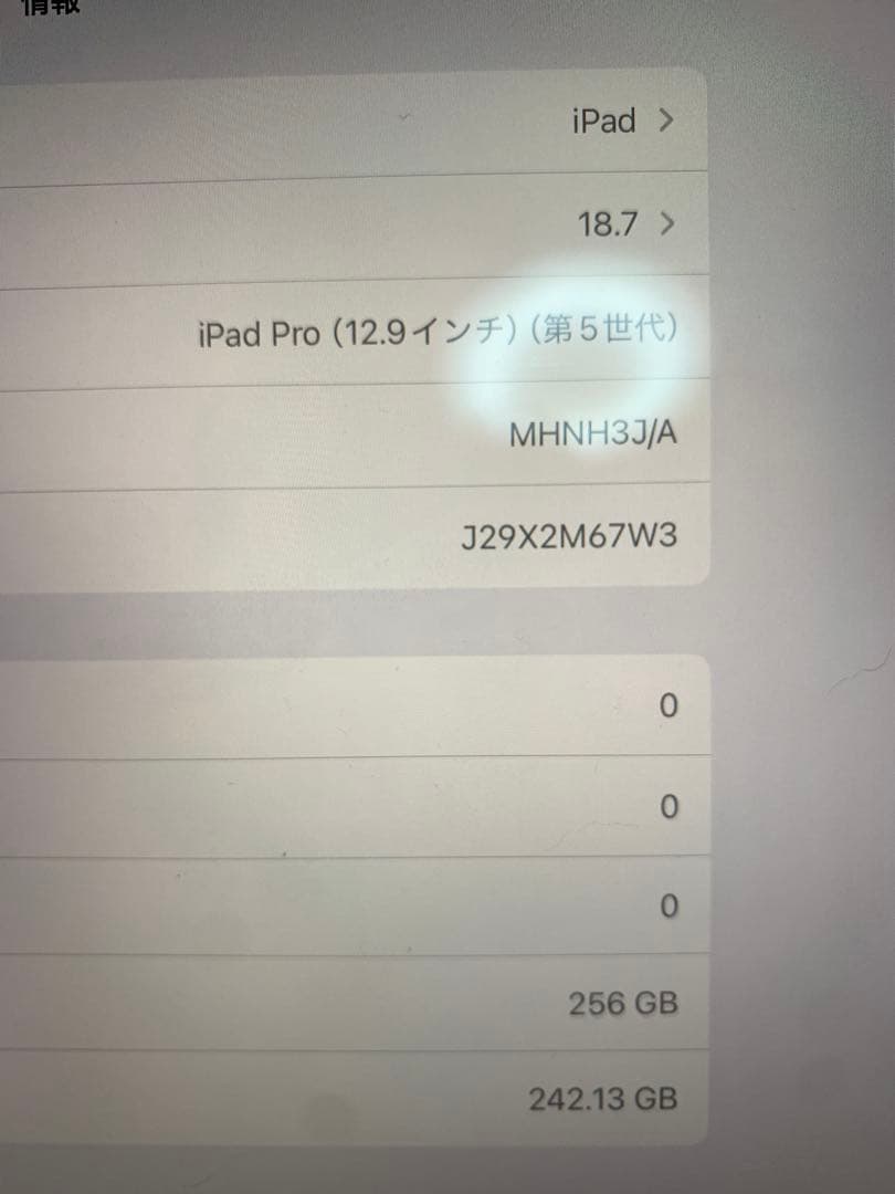 ジャンク‼️iPad Pro 第5世代　256GB