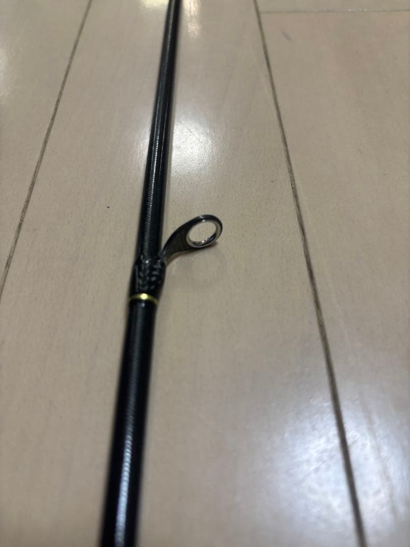 ダイワ モアザン ブランジーノ EX AGS 1010ML/M