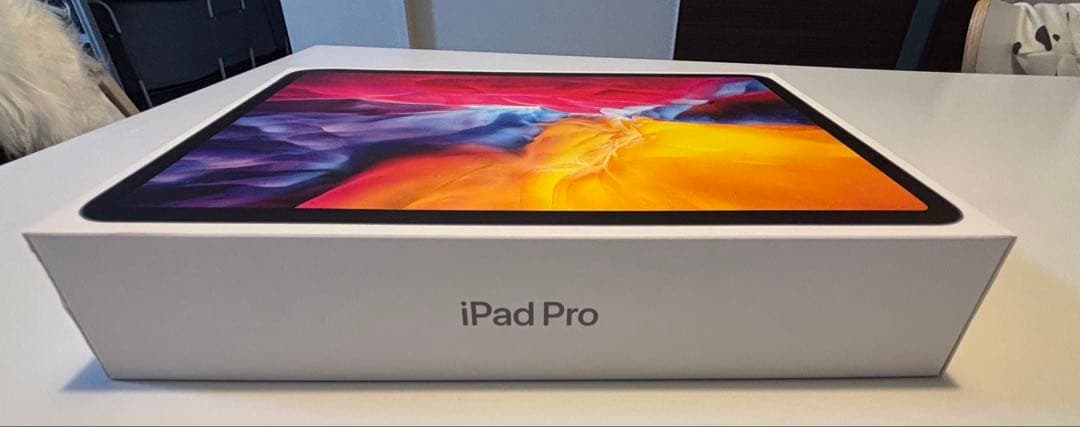 iPad Pro （11インチ 第2世代 128GB)凹み