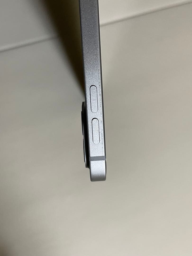 Apple iPad Pro 12.9インチ256GB 第5世代/PITAKA