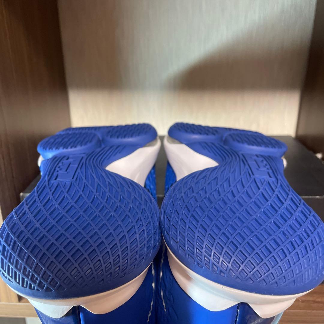 ☆希少カラー☆LEBRON WITNESS V