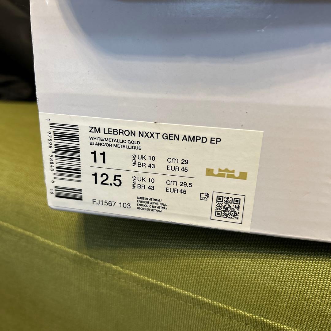 シューズ(男性用) NIKE LEBRON NXXT GEN AMPD EP