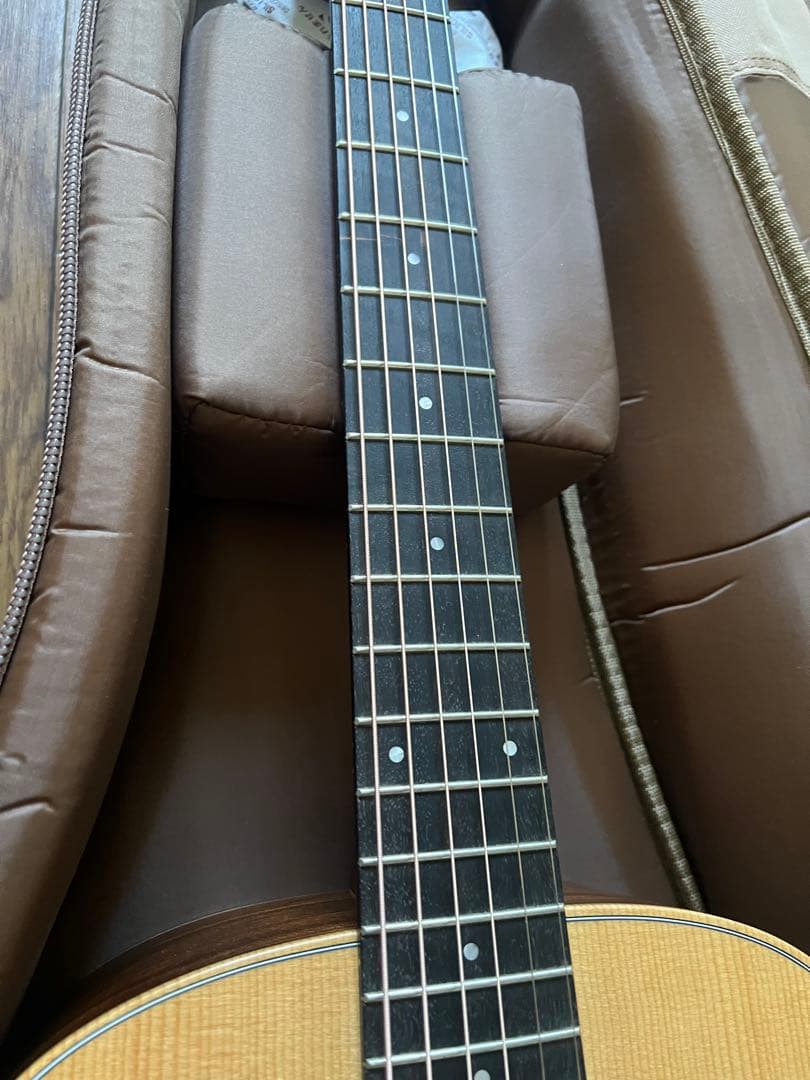 Taylor Guitars ( テイラーギター ) GS Mini-e