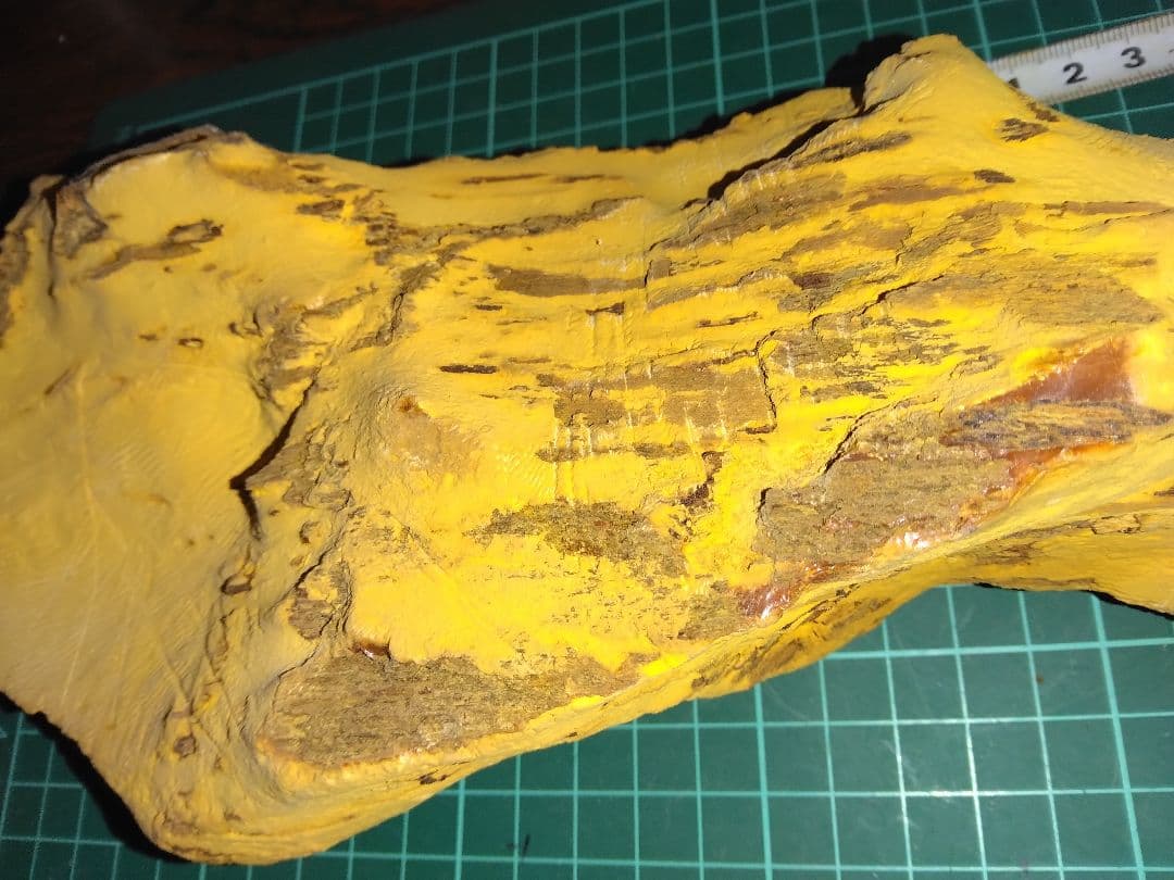 珪化木？産地不明　内部鉱物化　鉱物標本　不思議な石　オパール化？