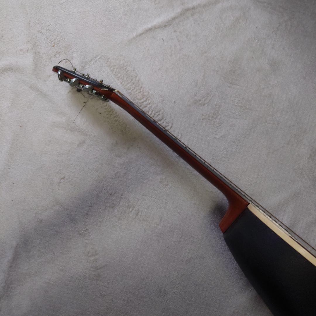 applause アコースティックギター サンバースト