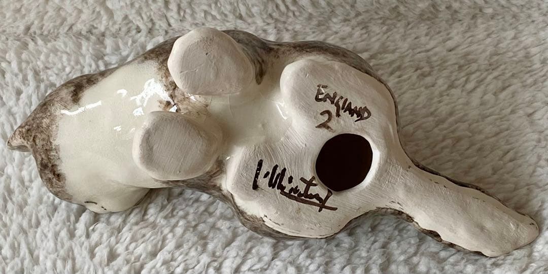 ウィンスタンレイキャット　ケンジントンキャット　丸まり猫　オッドアイ　サイズ2