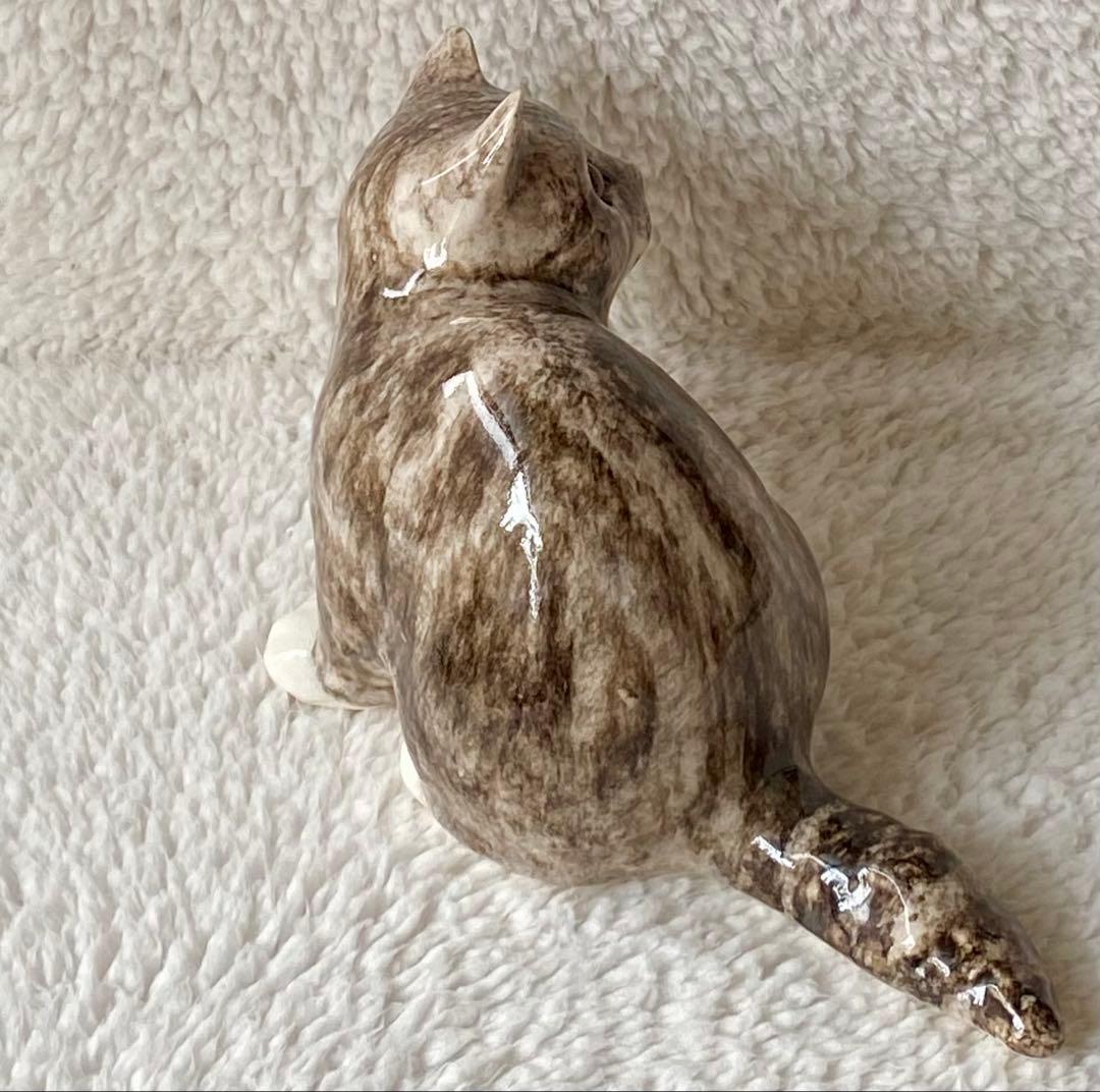 ウィンスタンレイキャット　ケンジントンキャット　丸まり猫　オッドアイ　サイズ2