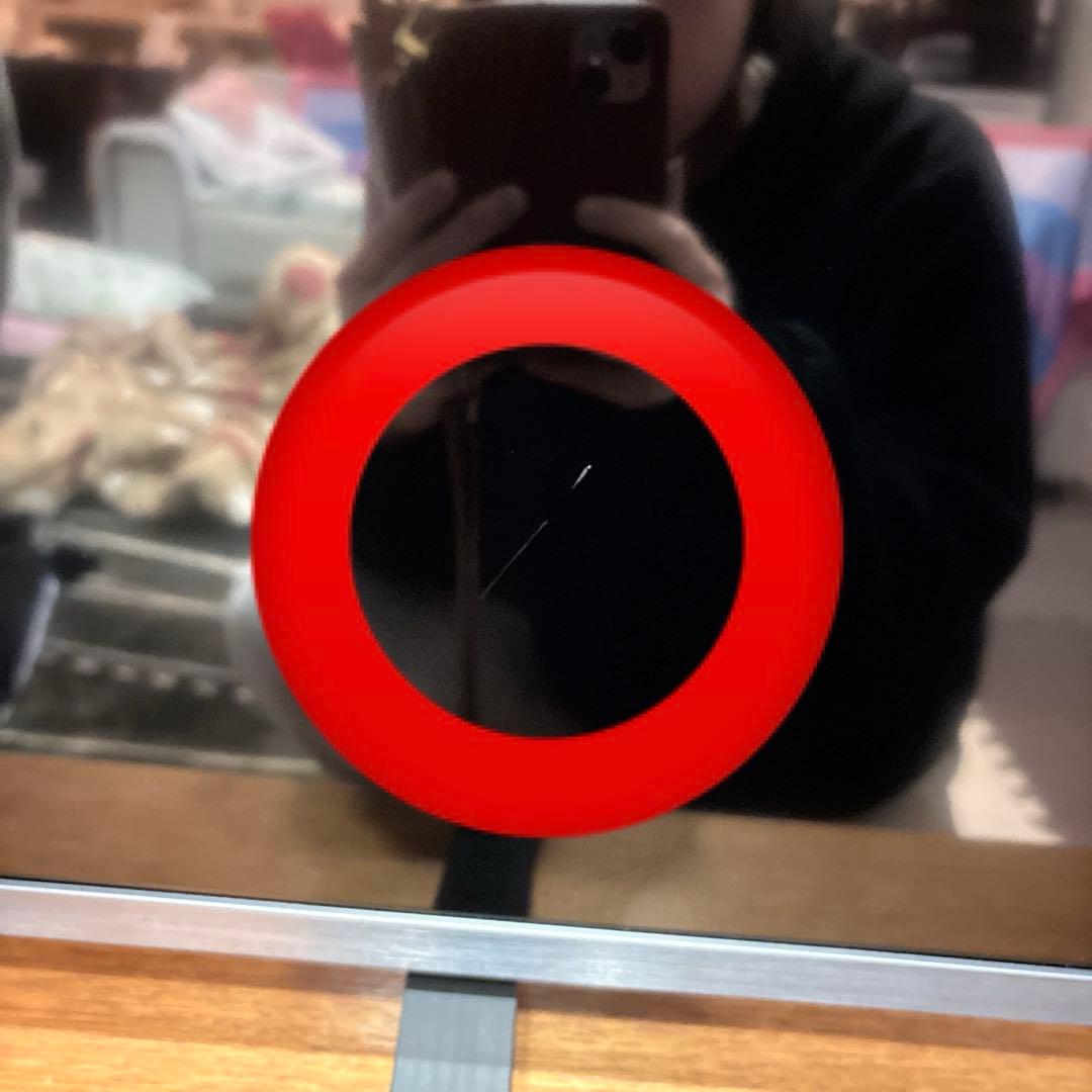 REGZA レグザ テレビ 65E350R 2025年モデル