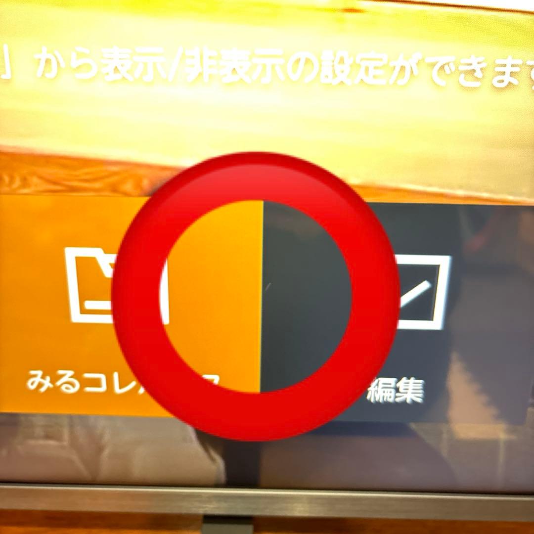 REGZA レグザ テレビ 65E350R 2025年モデル