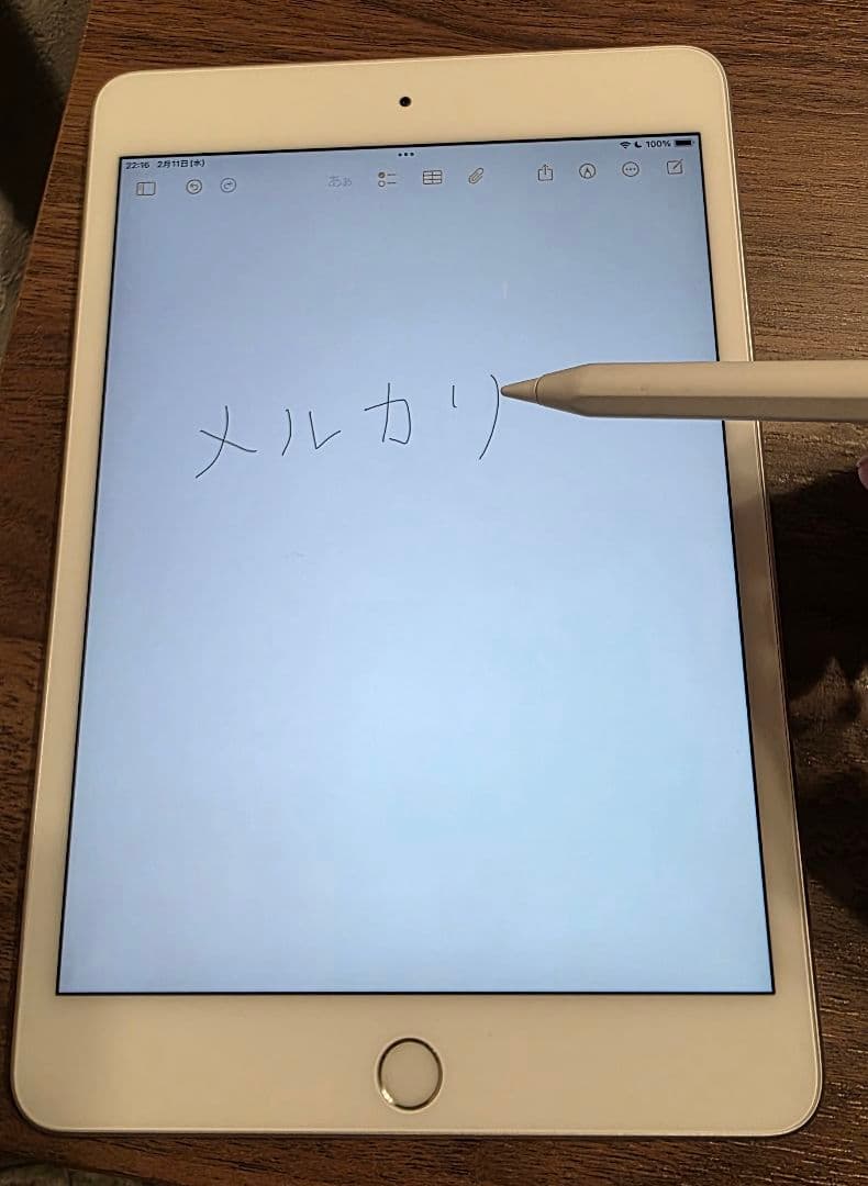 Apple iPad mini (第５世代) Wi-Fi 256GB シルバー