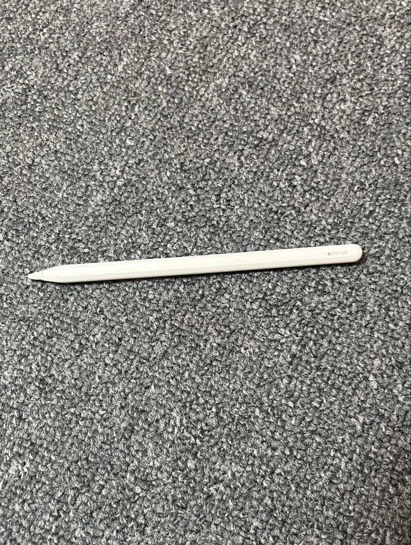 iPad本体 iPad Pro 12.9-inch (5th generation)