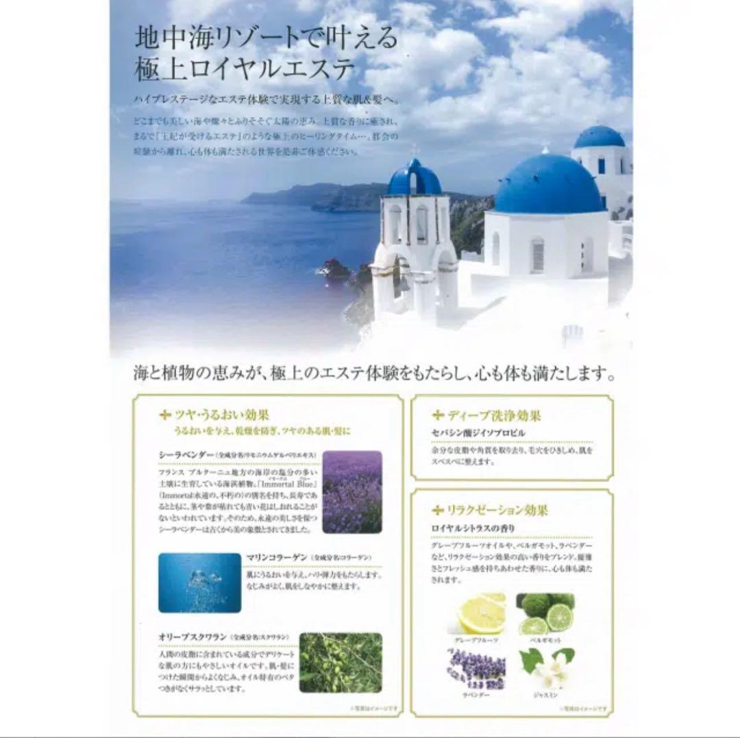 ポーラPOLA エステロワイエ シャンプー＆コンディショナー各10Lセット業務用