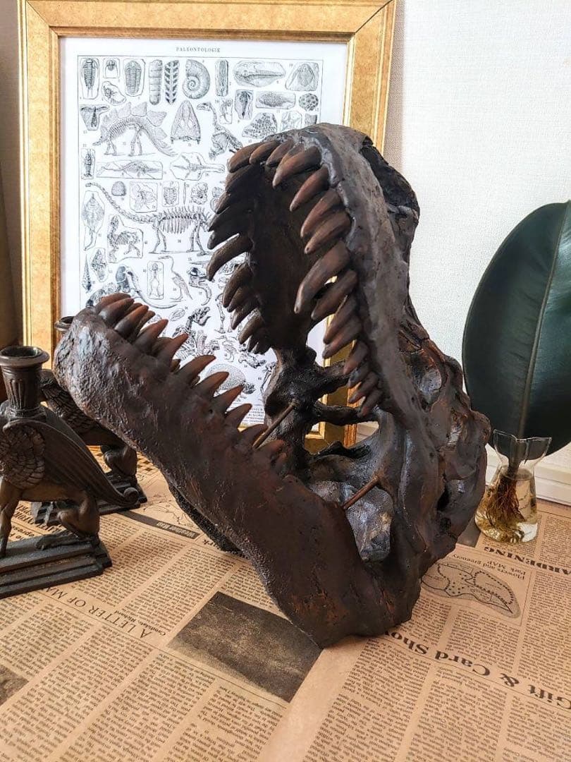 ティラノサウルス インテリアオブジェ 雑貨 置物 恐竜の化石 ジュラシックパーク