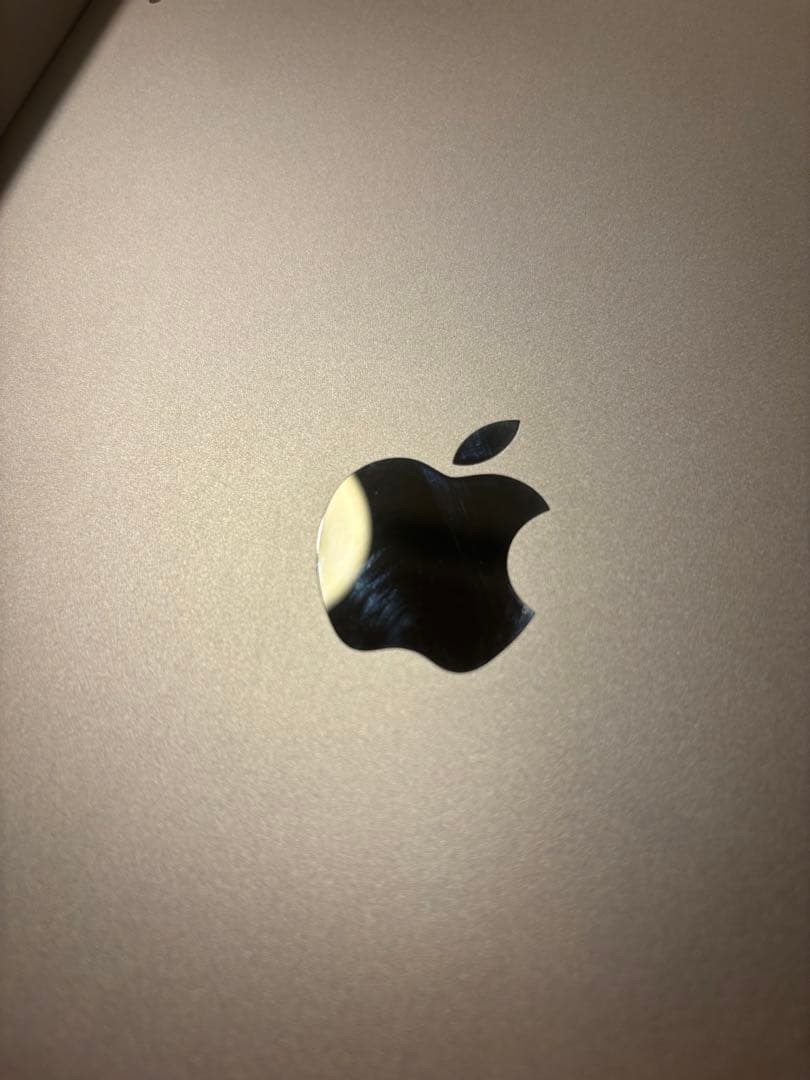 Apple iPadAir 第5世代　256GB Apple Pencil付き