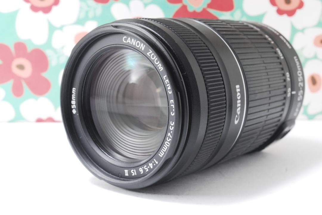 ❤Canon EF-S 55-250mm F5.6 IS II❤手振れ補正❤