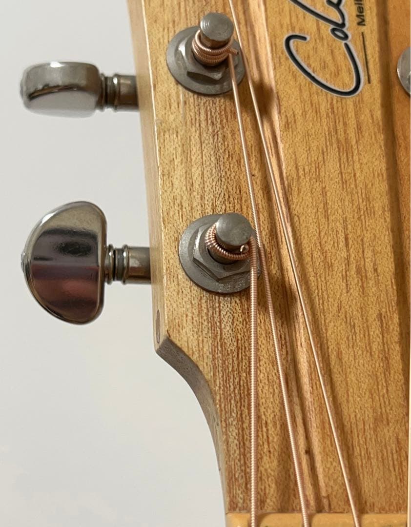 Cole Clark FL2AC3 BM 3WayPU コールクラーク