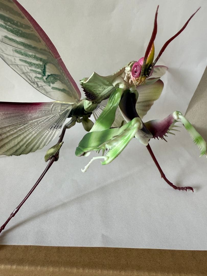 シ*ン様 いきもの大図鑑アドバンス　ニセハナマオウカマキリコンプリート