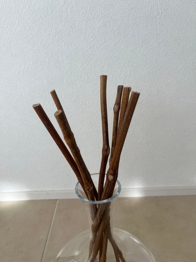 DR.VRANJES ロッソノーブル　葡萄枝付き