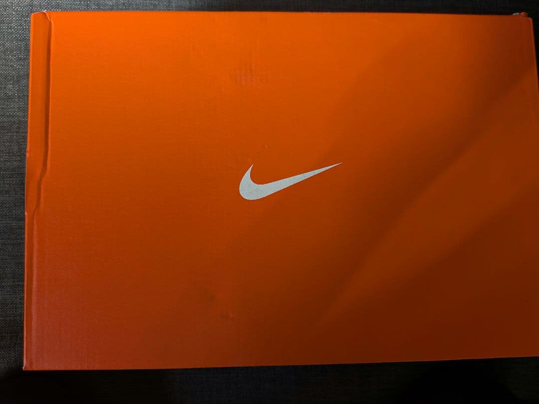 ナイキ ペガサス プラス 28cm